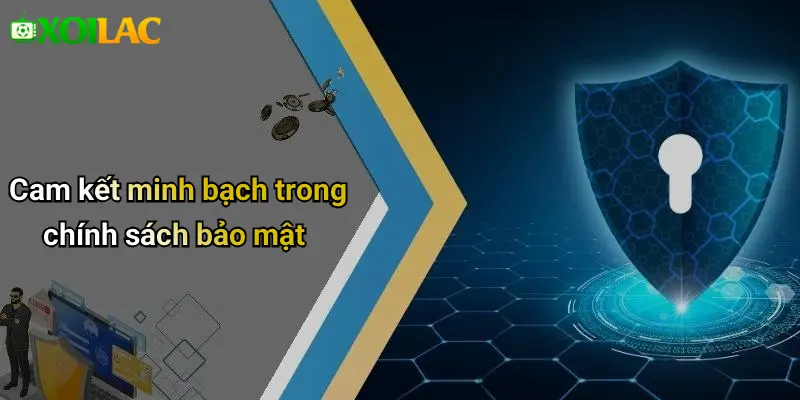 Cam kết minh bạch trong chính sách bảo mật