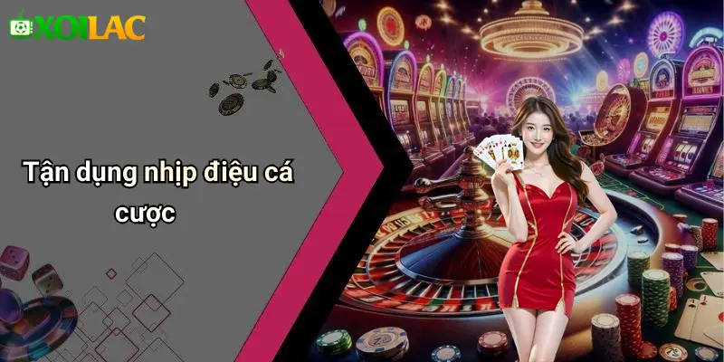 Tận dụng nhịp điệu cá cược