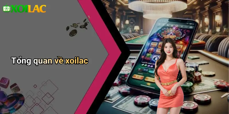 Tổng quan về xoilac