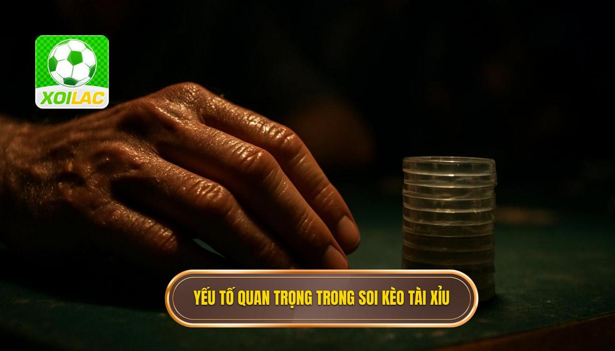 Phân tích các yếu tố then chốt khi soi kèo tài xỉu