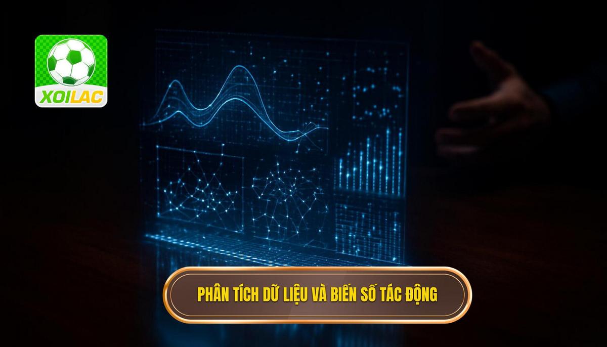 Phân tích dữ liệu chuyên sâu và các biến số tác động