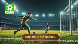 Xôi Lạc_ Đẳng cấp chuyên gia bóng đá.