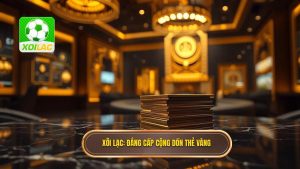 Xôi Lạc_ Đẳng cấp cộng dồn thẻ vàng