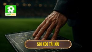 thumb - soi kèo tài xỉu