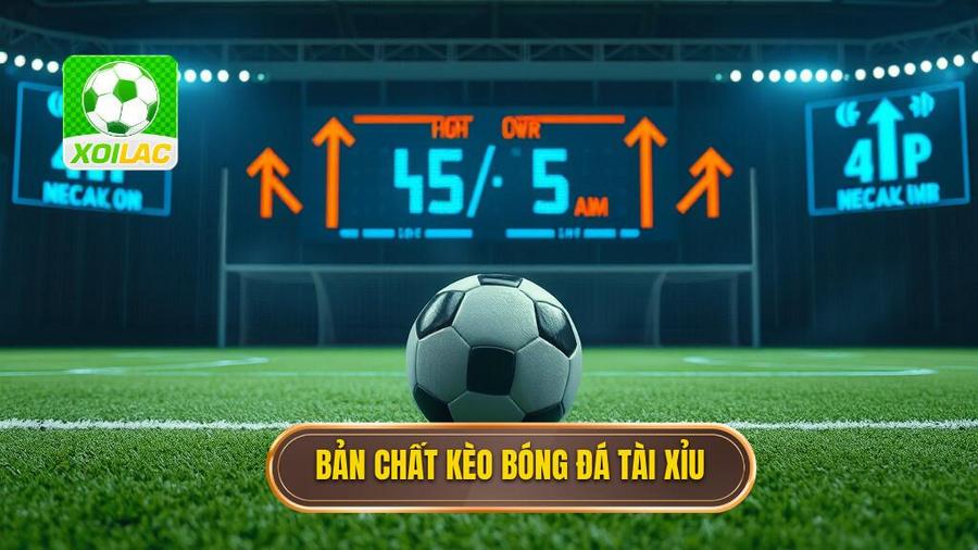 Hiểu rõ về bản chất của kèo bóng đá tài xỉu