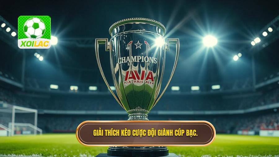 Hiểu rõ về Kèo cược đội giành cúp bạc là gì?