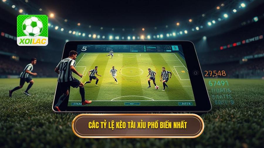 Các tỷ lệ kèo bóng đá tài xỉu phổ biến nhất hiện nay