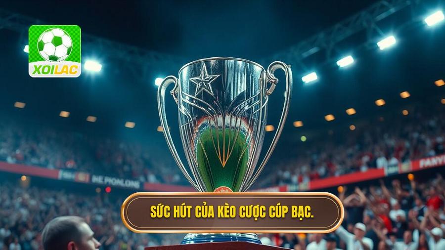 Tại sao Kèo cược đội giành cúp bạc lại có sức hút mãnh liệt?