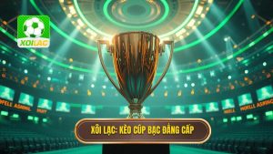 Kèo cược đội giành cúp bạc: Kinh nghiệm soi kèo từ XÔI LẠC
