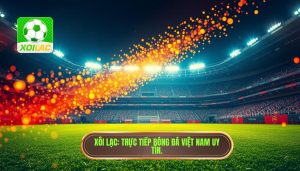 Trực tiếp bóng đá Việt Nam